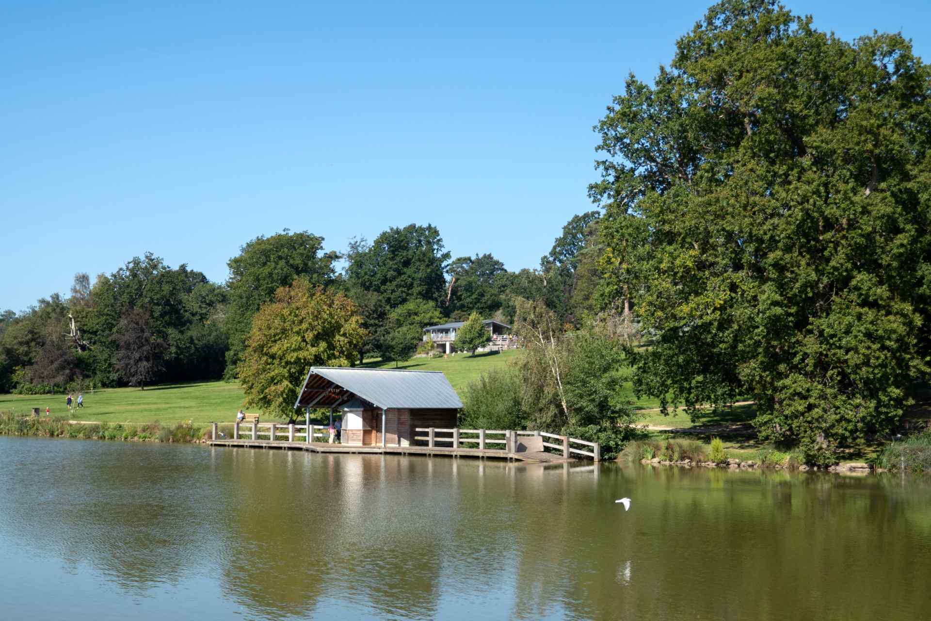 Dunorlan park lake.