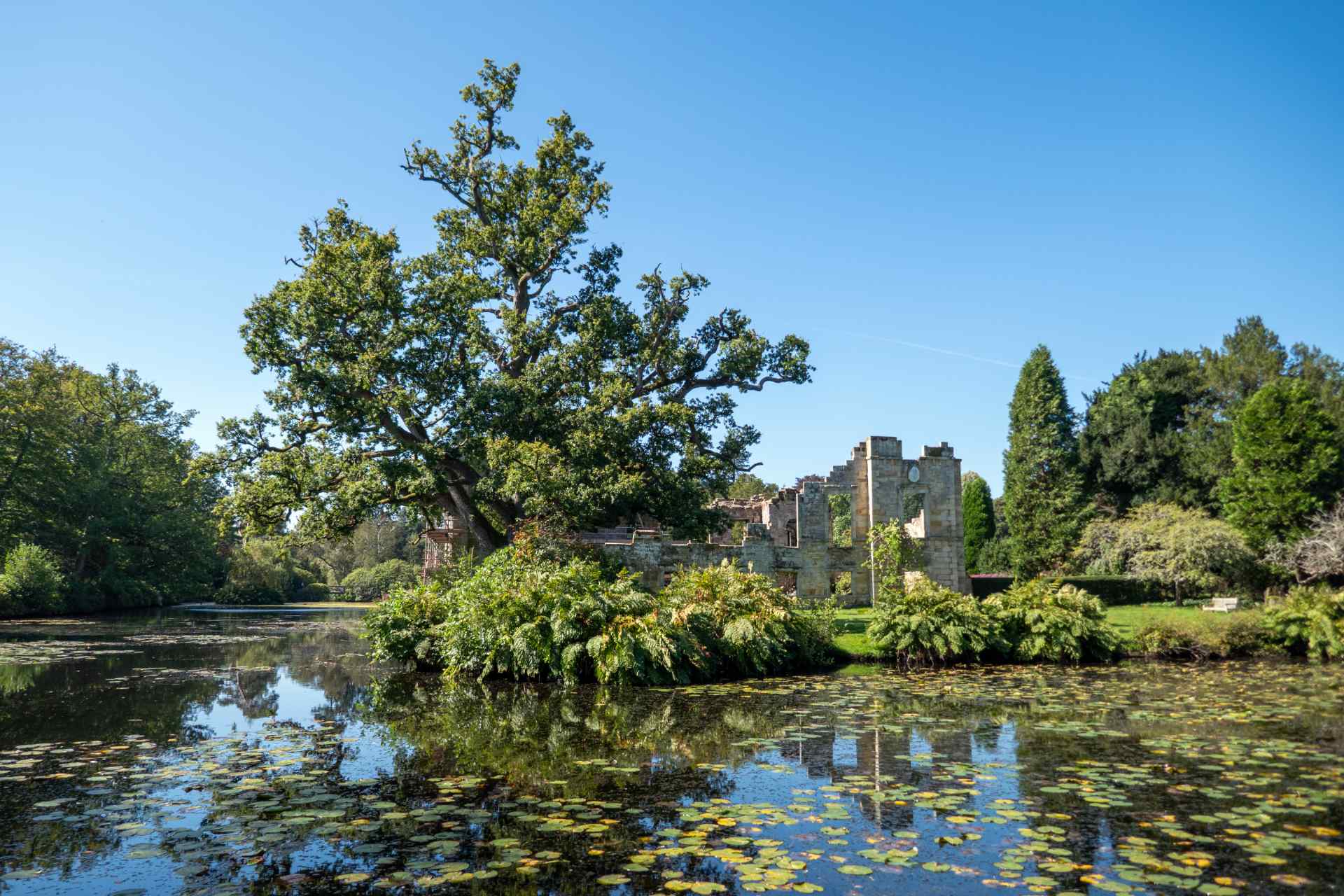 Exterior of Scotney Castle