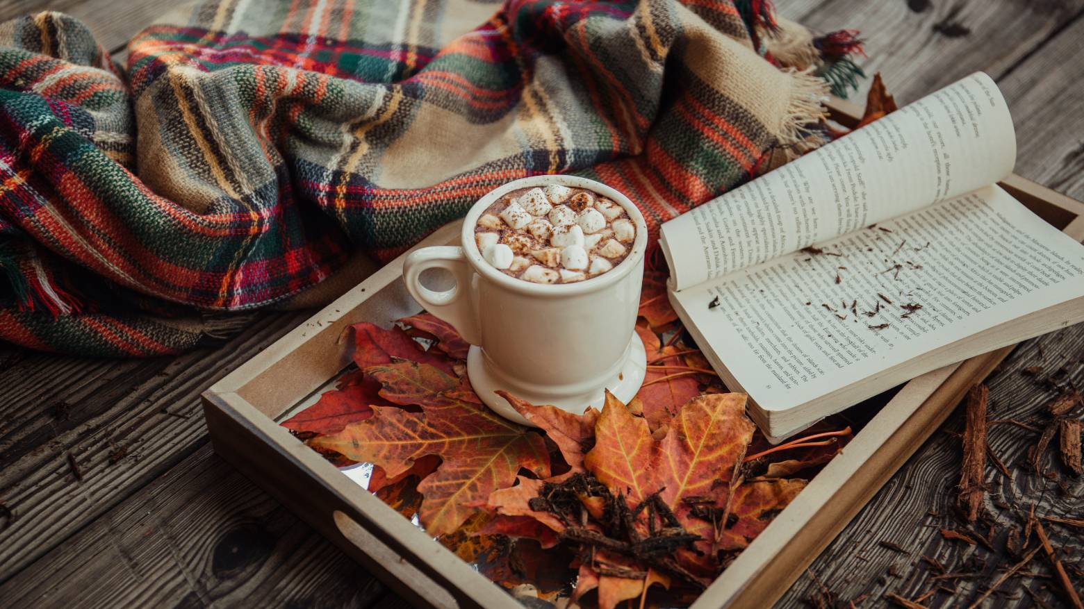 hot chocolate, a blanket and a book