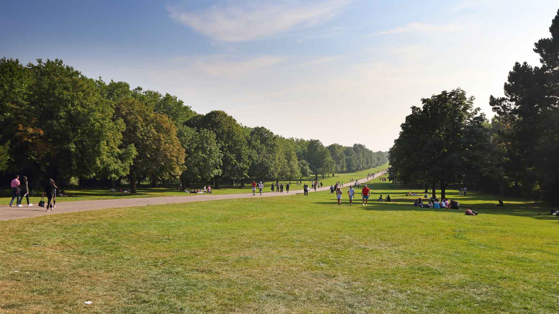 A photo of a long road with grass and people enjoying a picnic.