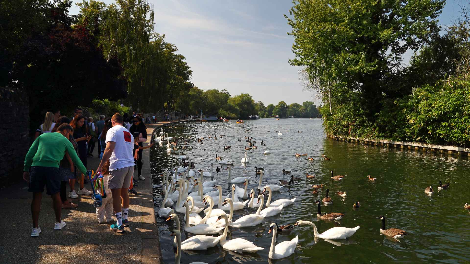 A photo of the river in Windsor
