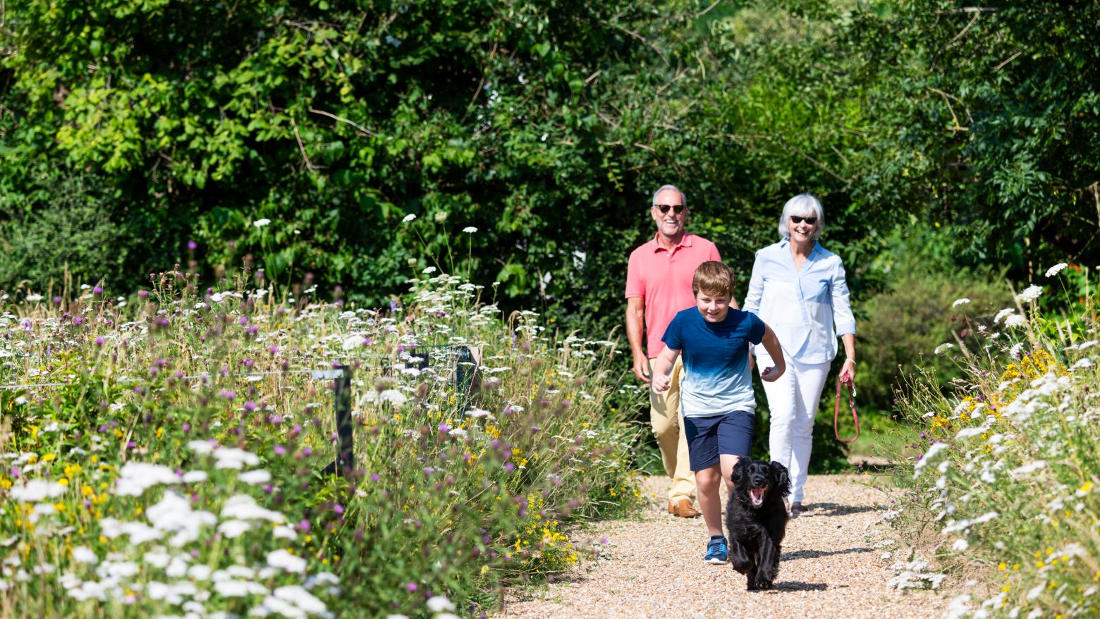 Two grandparents playing with their grandson and their black dog in the garden.