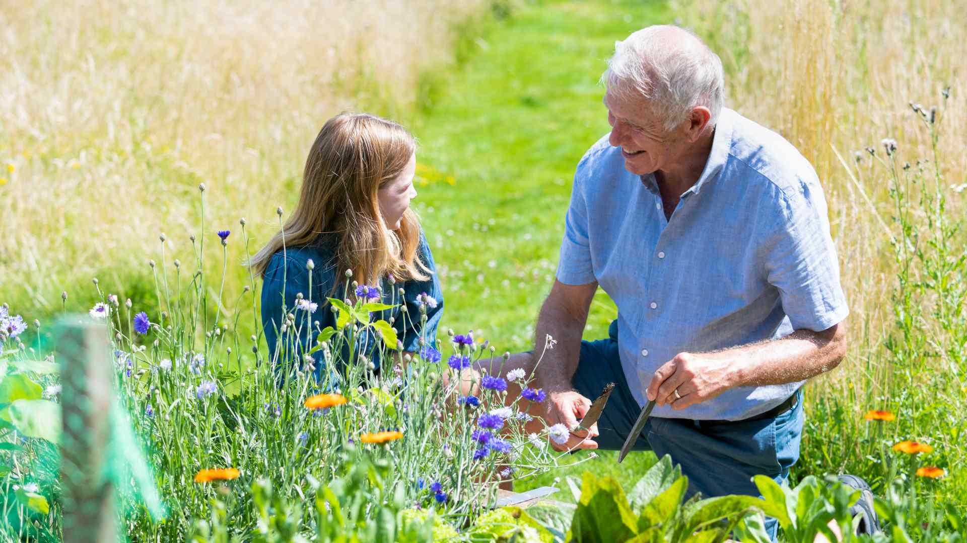 A grandfather and granddaughter in the garden together looking at flowers.