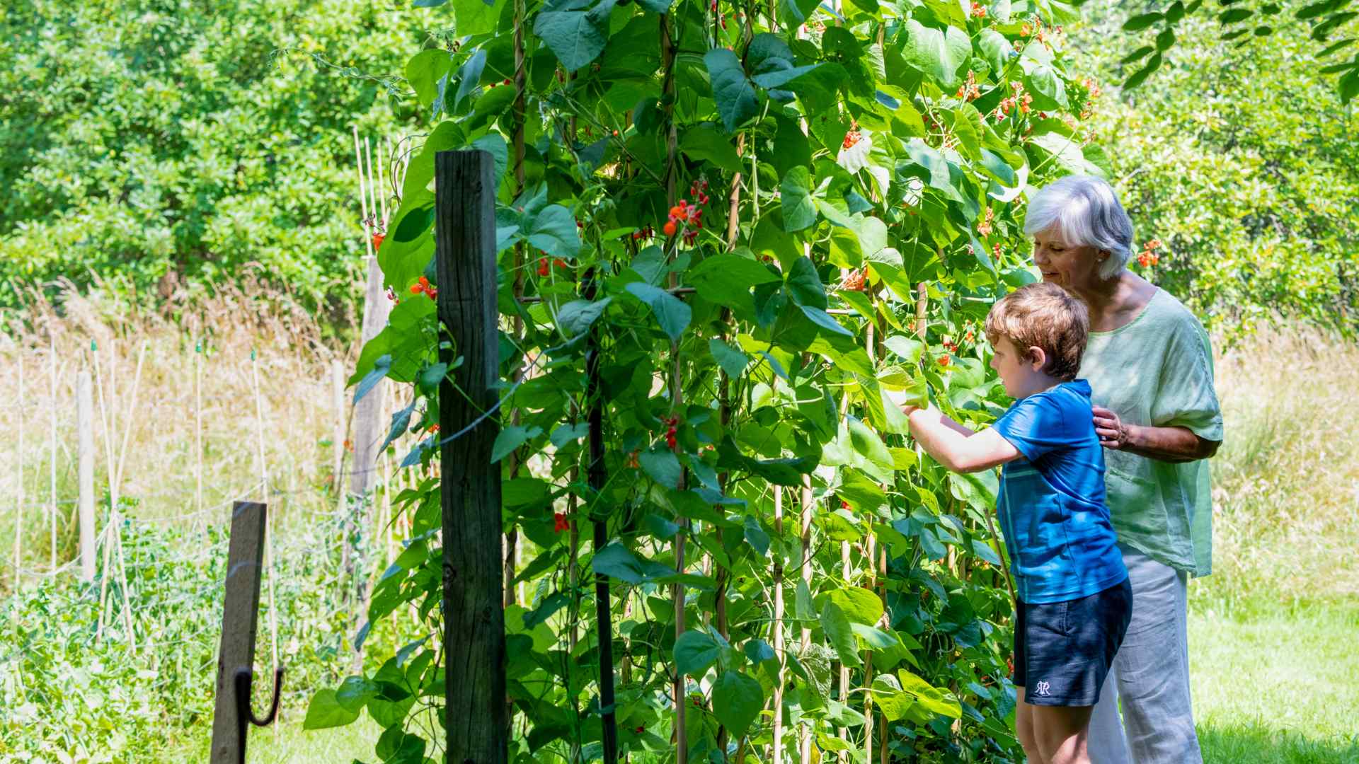A grandmother and grandson in the garden