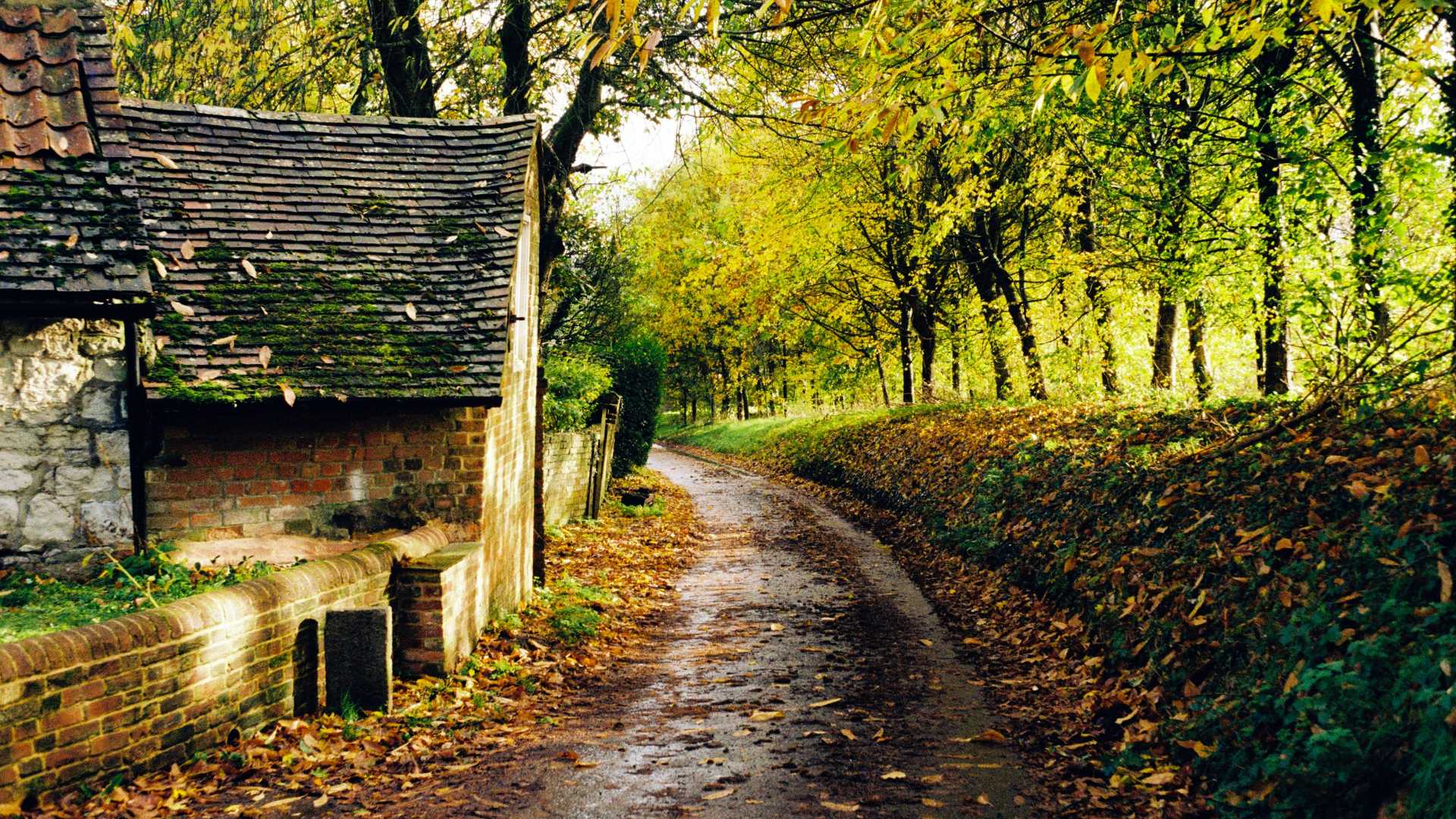 A rural road in Hampshire