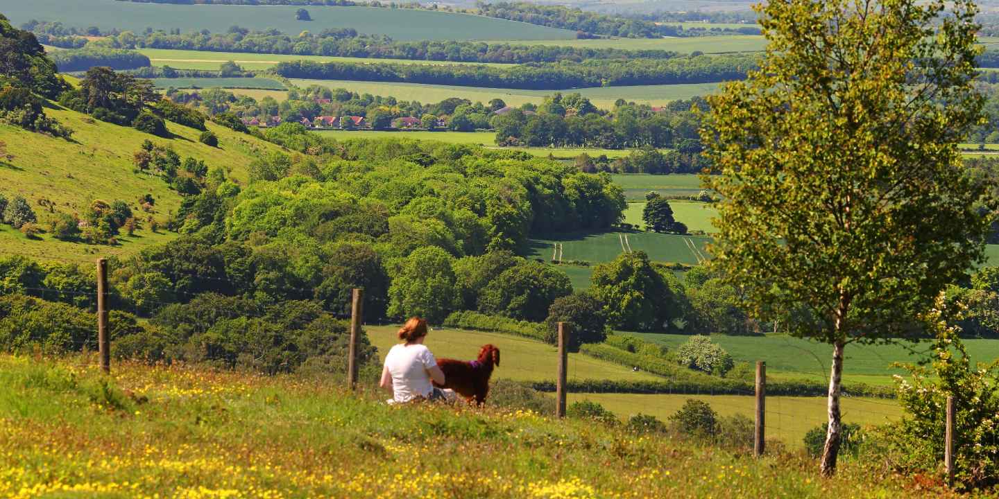A woman and a dog looking out over fields