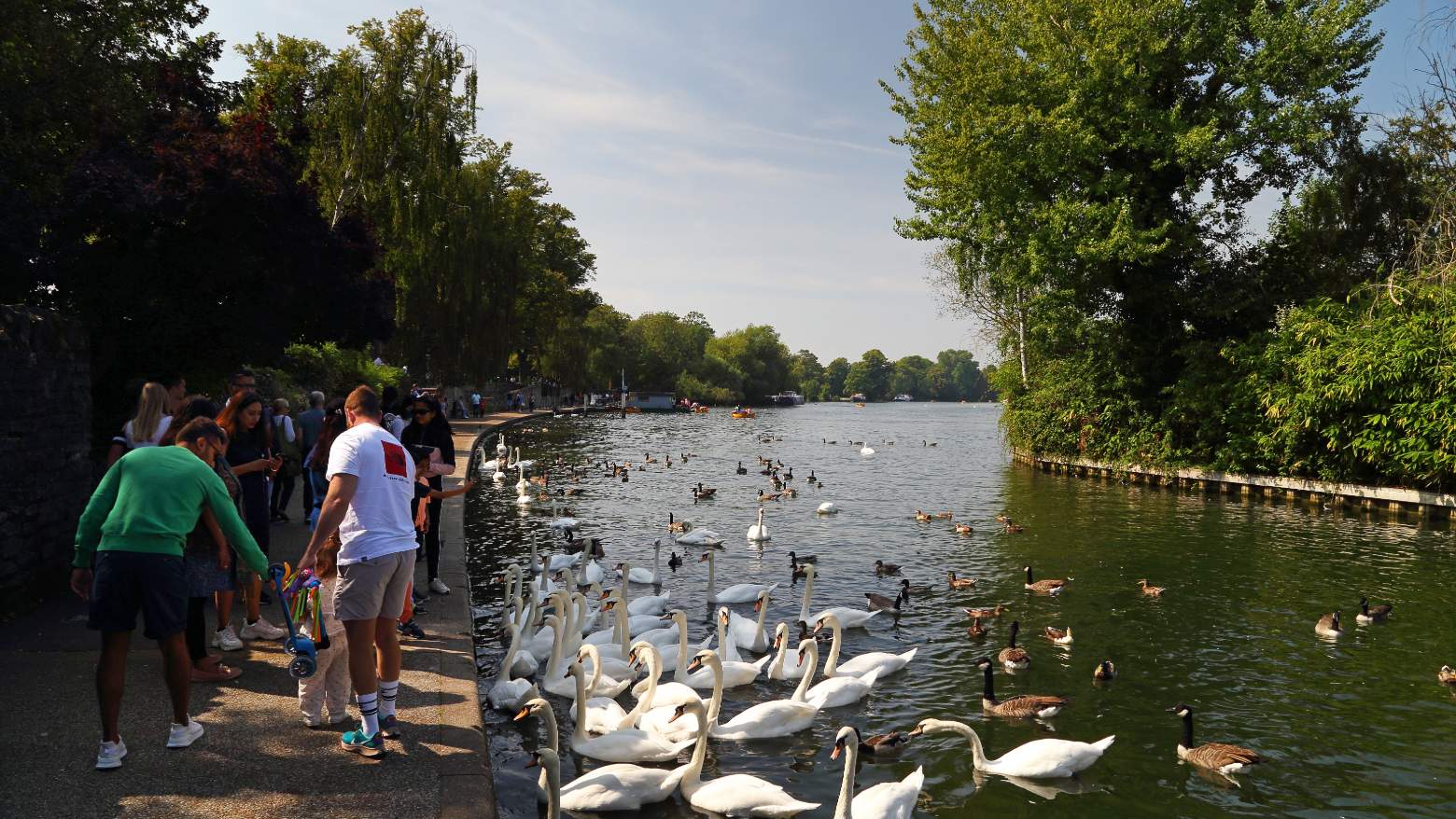 River Thames in Windsor