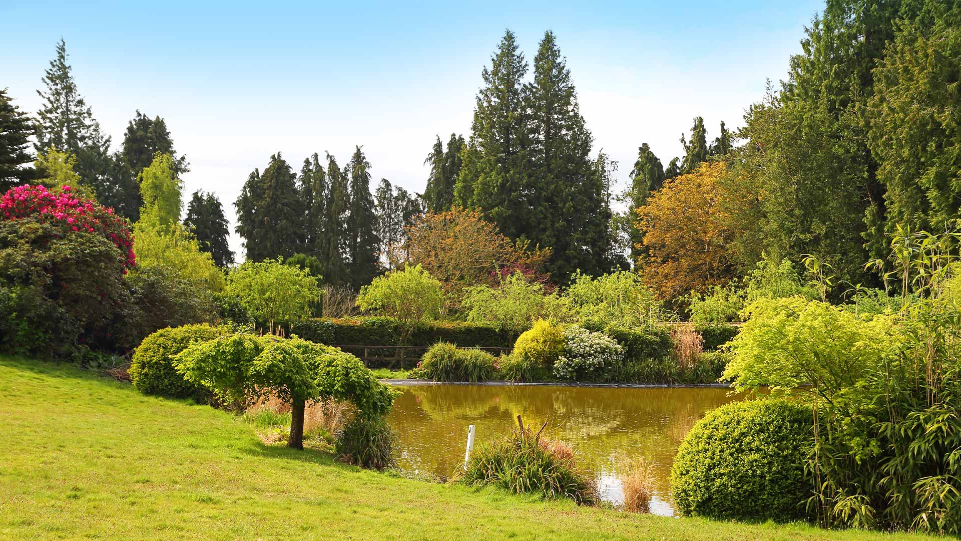 Exterior woodland and lake in Nettlebed Oxfordshire