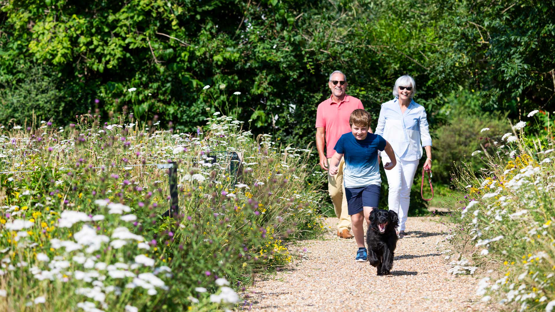 A grandson chasing his dog followed by granddad and grandmother.