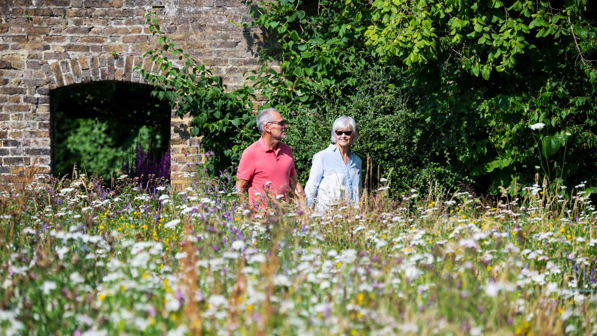 The wildflower meadow at Orford Place, Ham