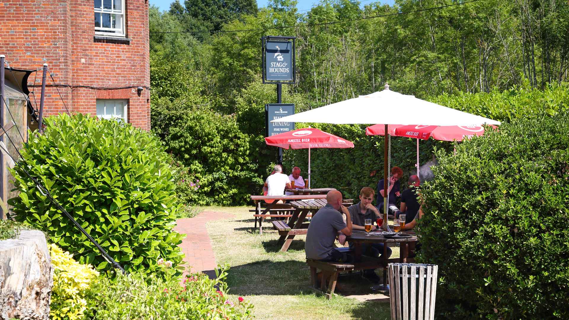 TheStagandHounds-4237 (1).jpg