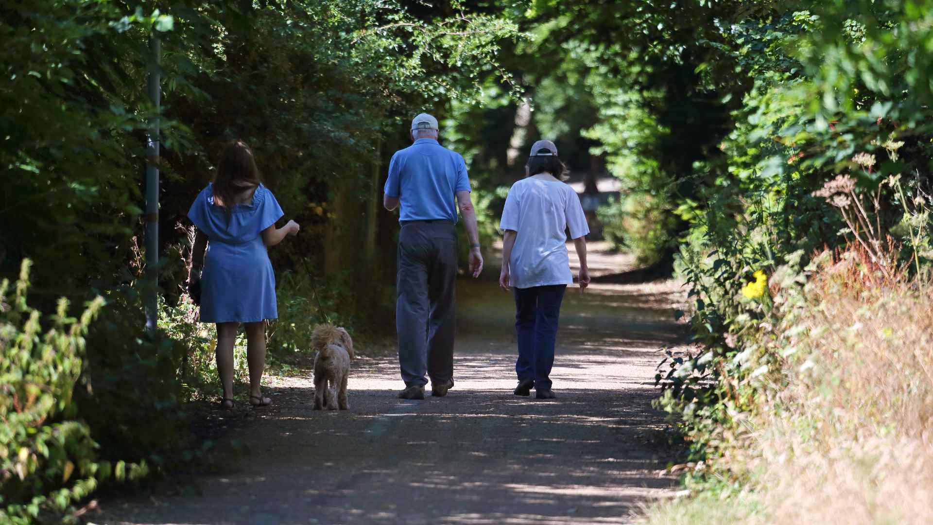 An older couple walking together followed by a lady and her dog