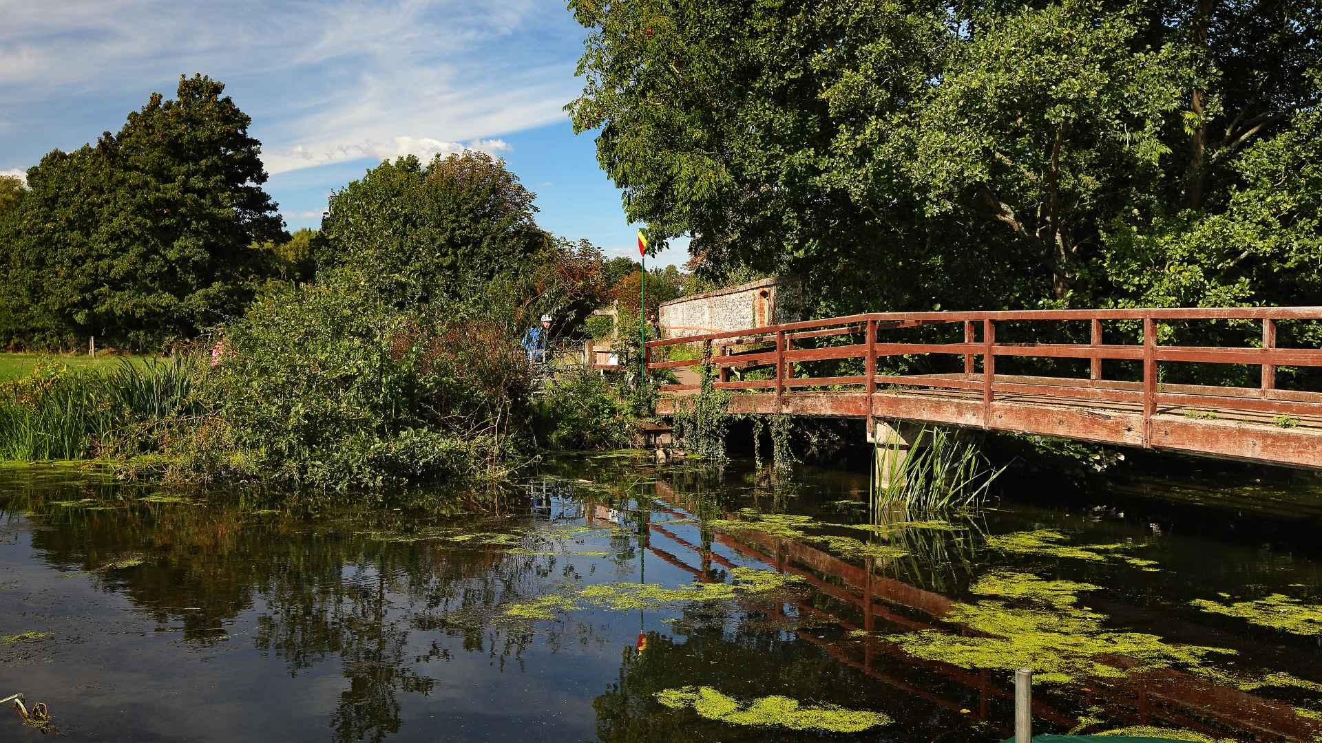 233 Woodstock to Burford bus 