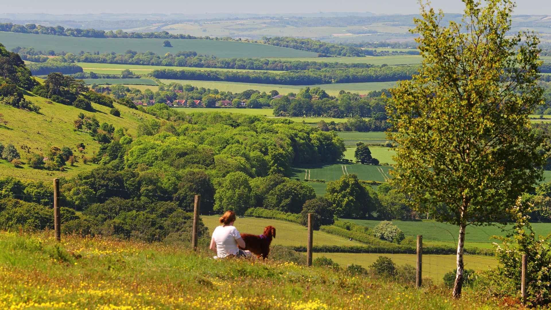 Oxfordshrie countryside