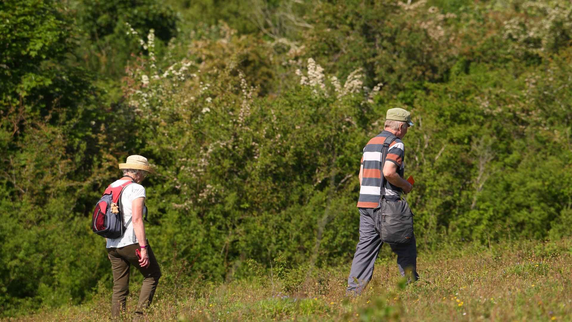 Oxfordshrie countryside