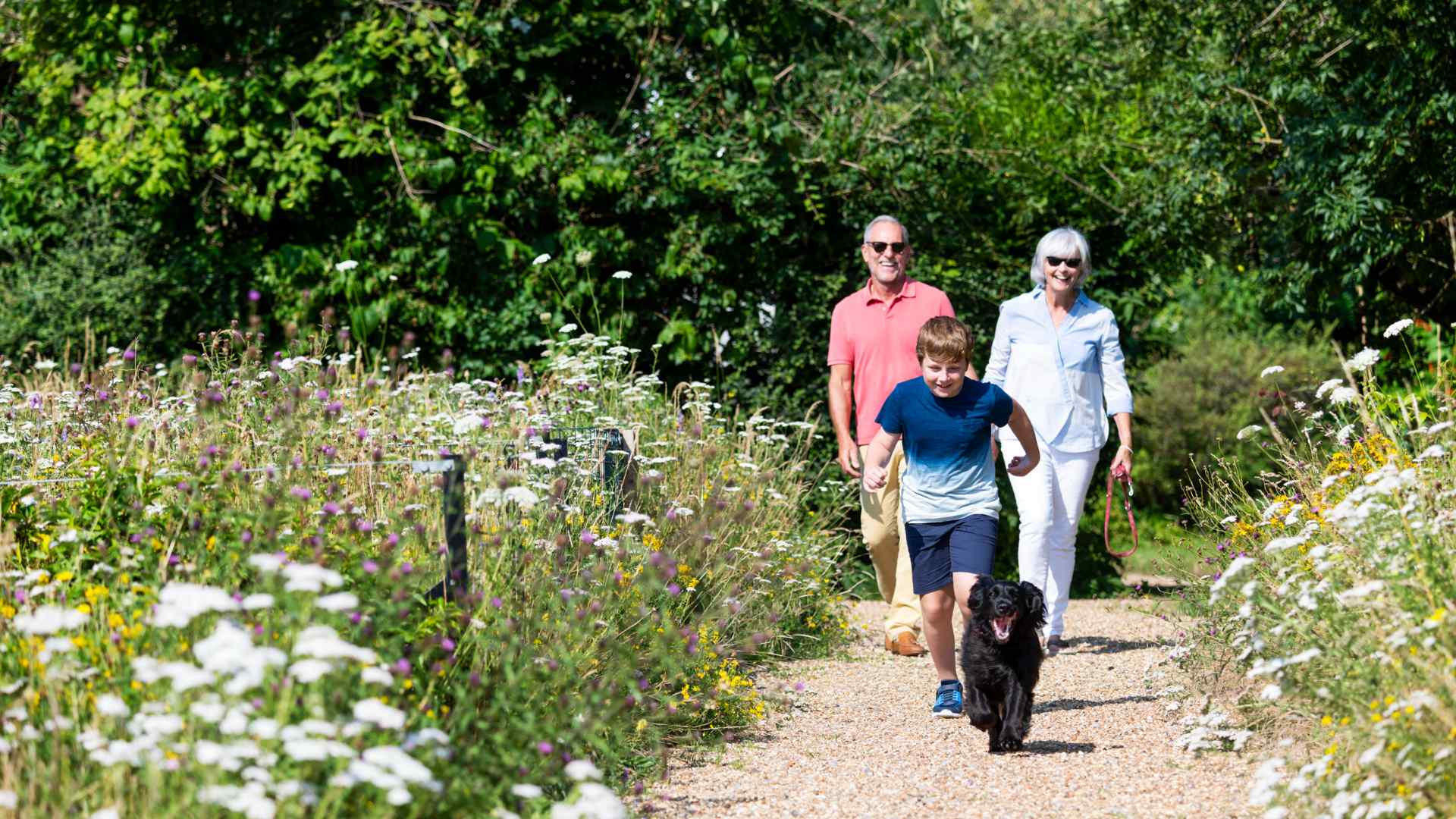 Grandparents with their grandchild and a dog in a garden
