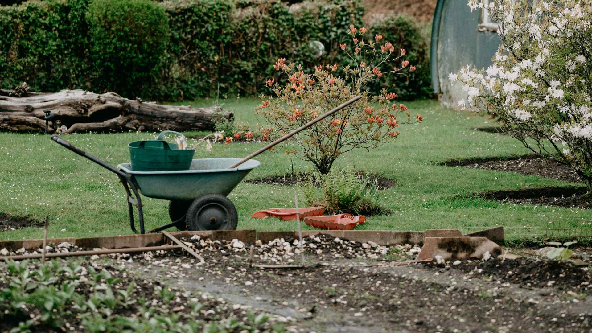 A garden with a wheel barrow