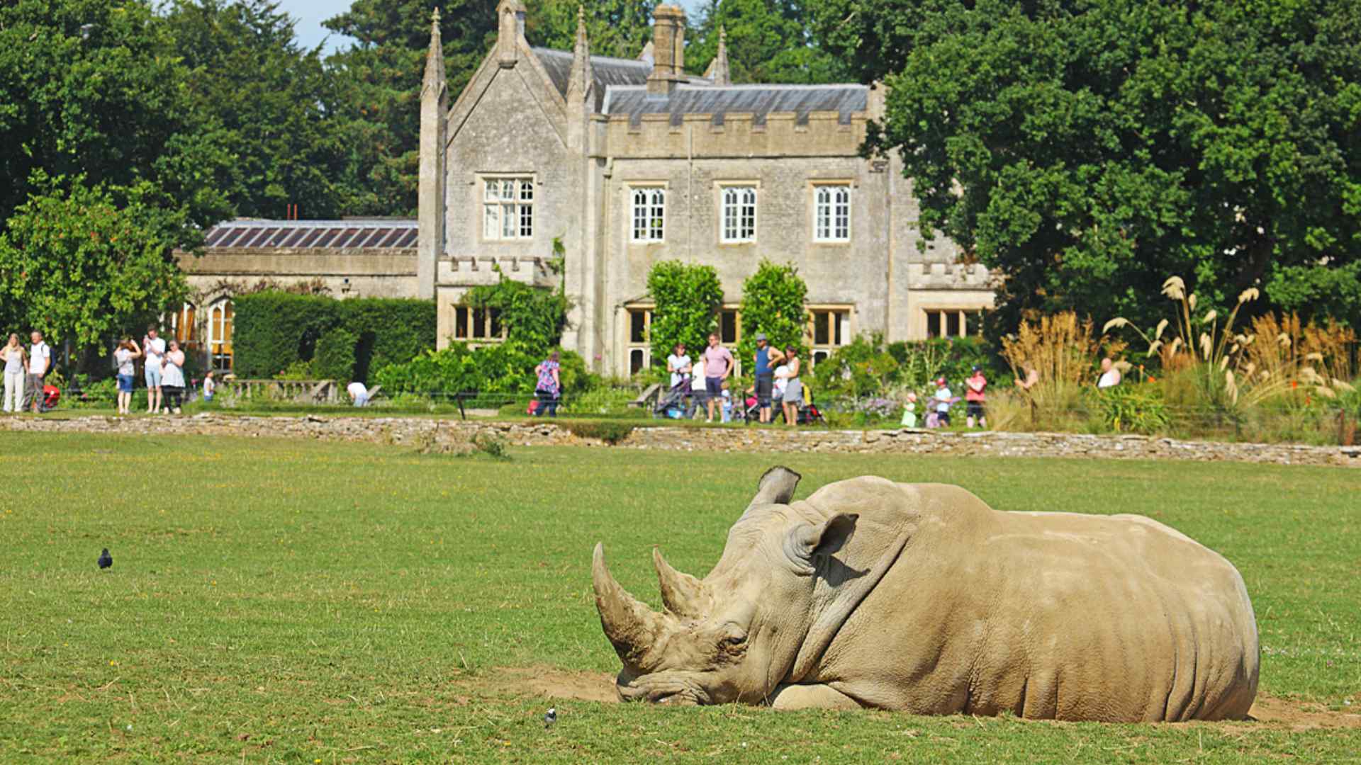 Cotswold Wildlife Park, Burford