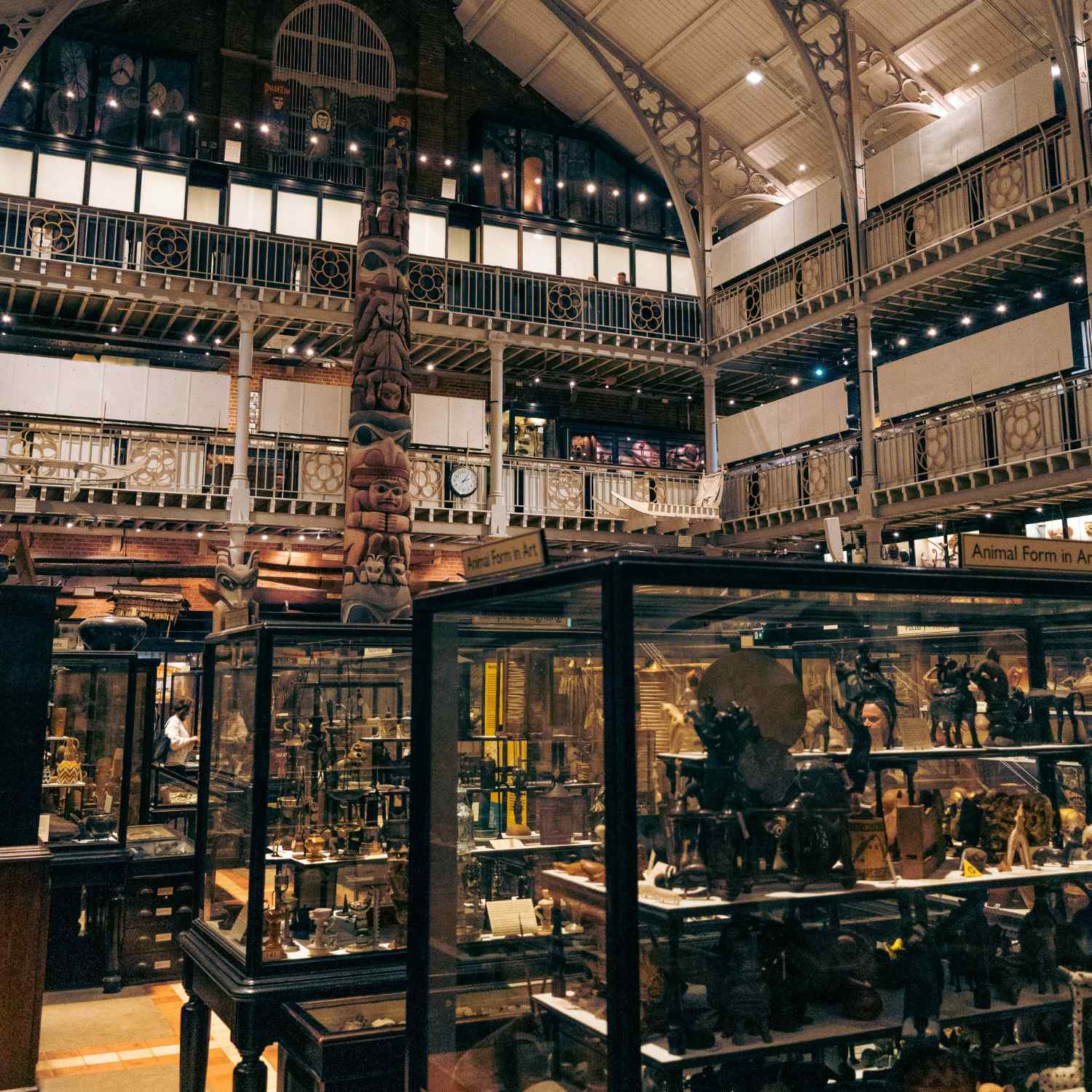 The Pitt Rivers Museum, Oxford