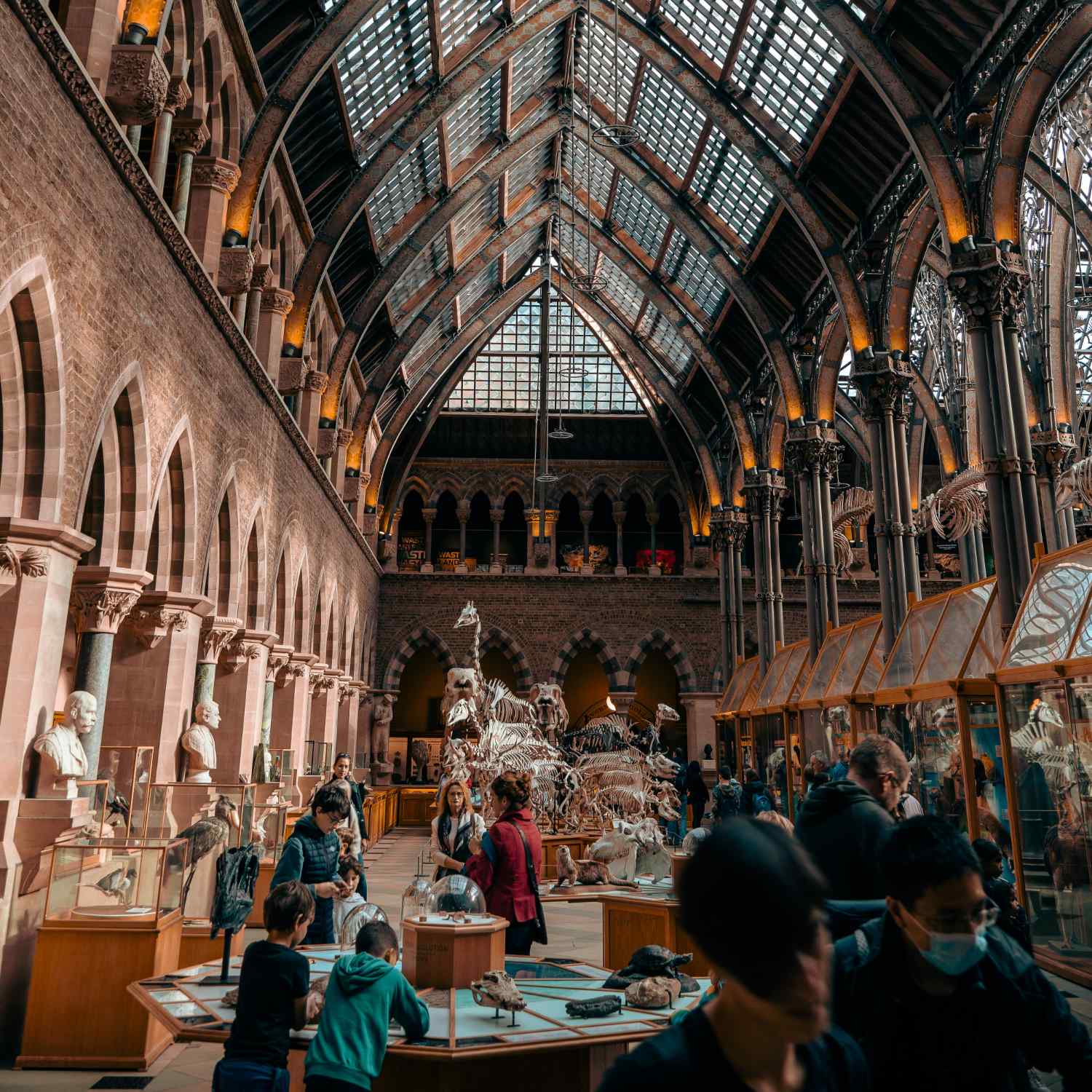 The Oxford University Natural History Museum