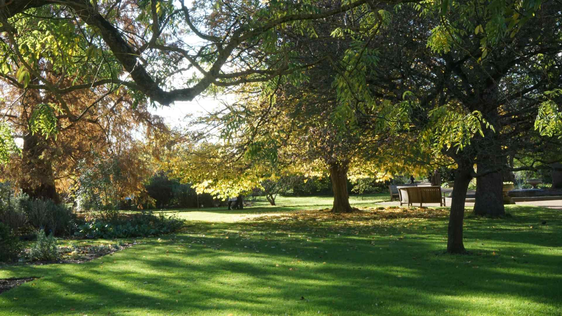 Oxford Botanic Gardens