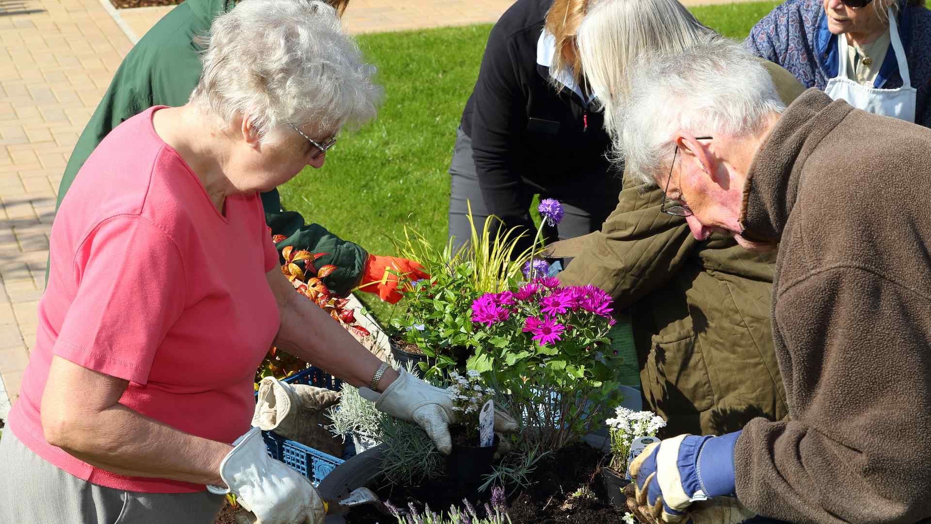 A plant potting workshop