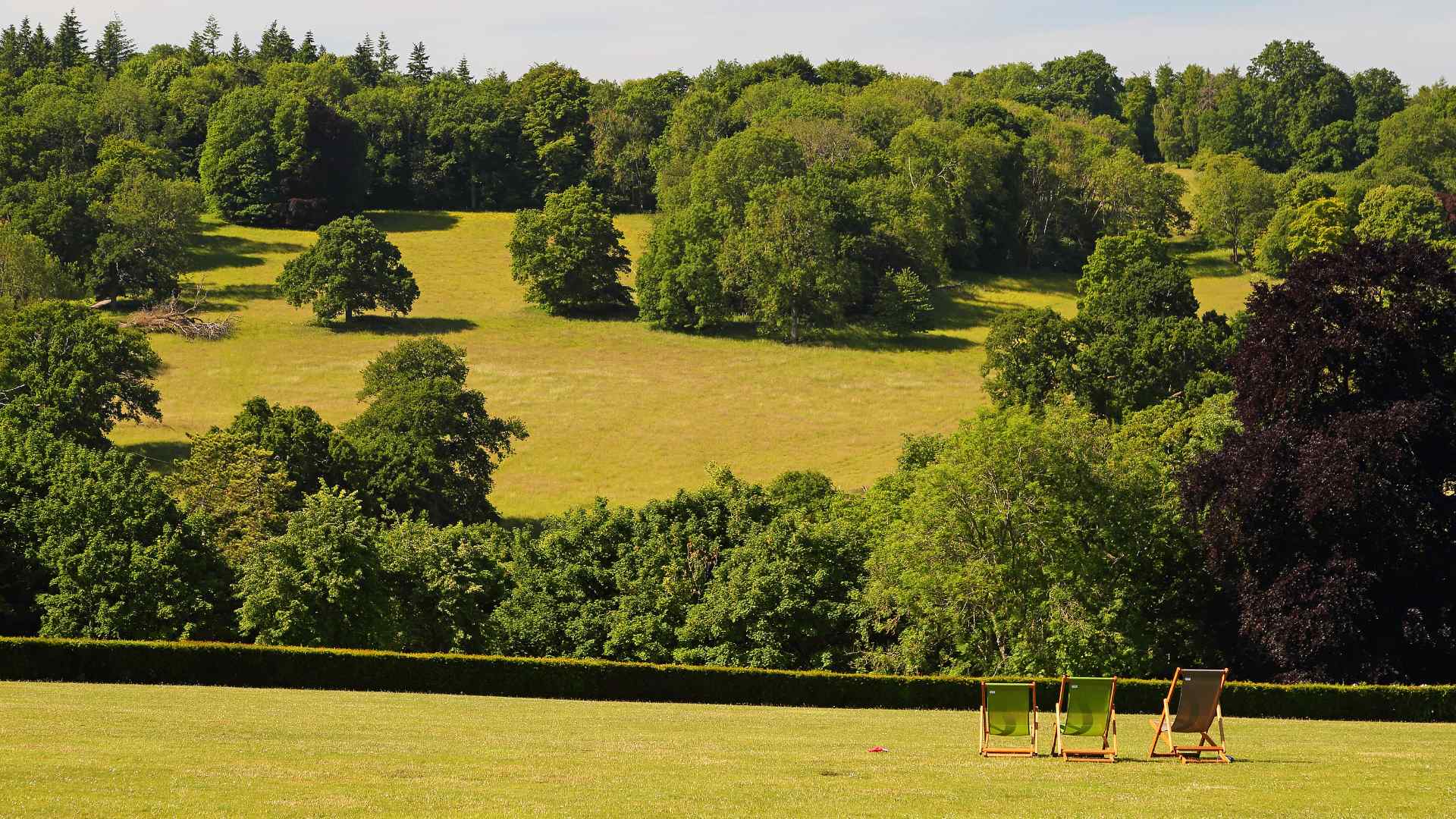 Landscape at Polesden Lacey