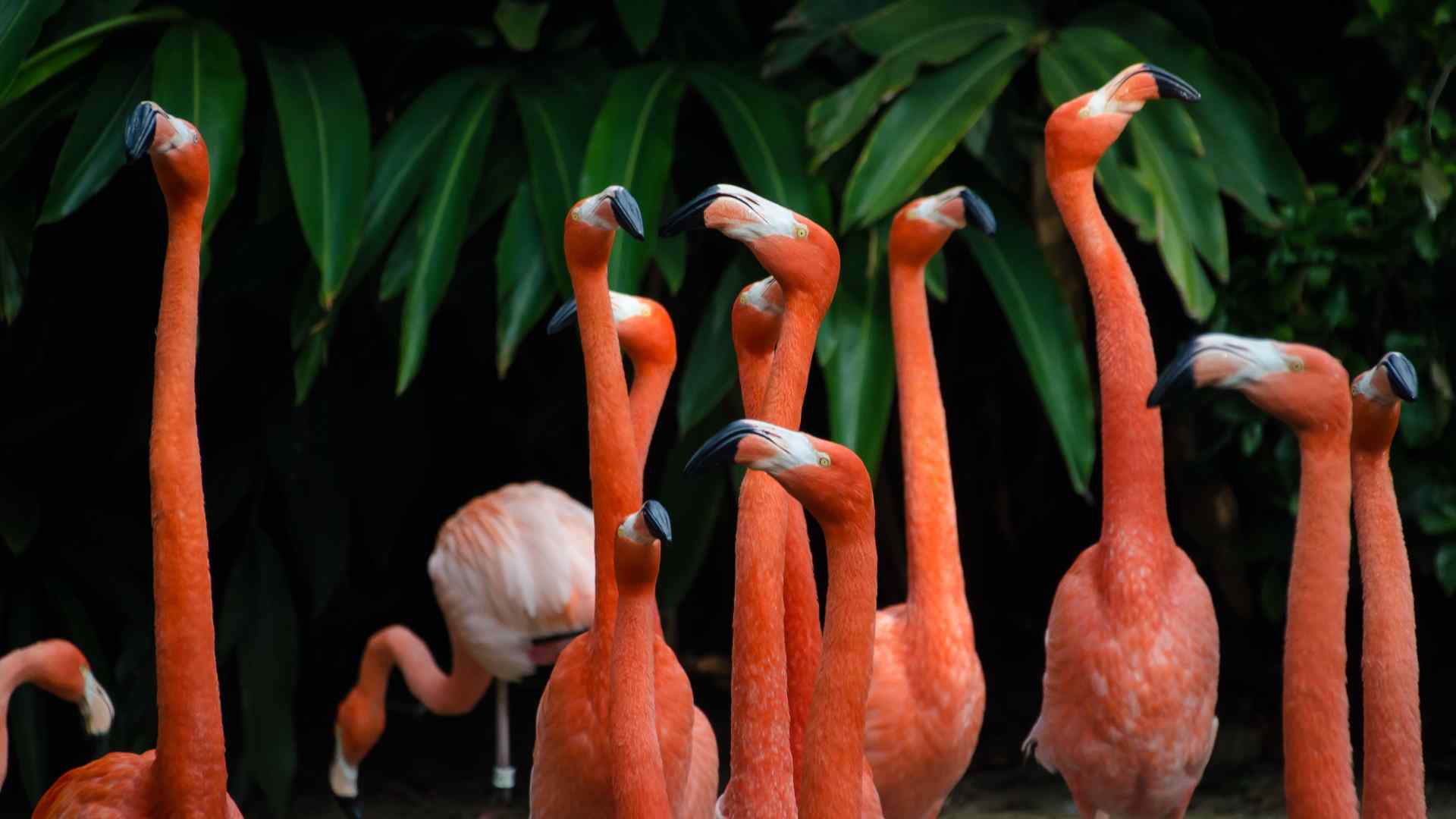 Huffkins Bakery, burford