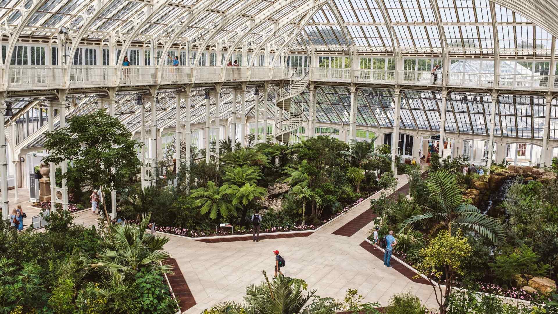 Inside the green house at Kew Gardens