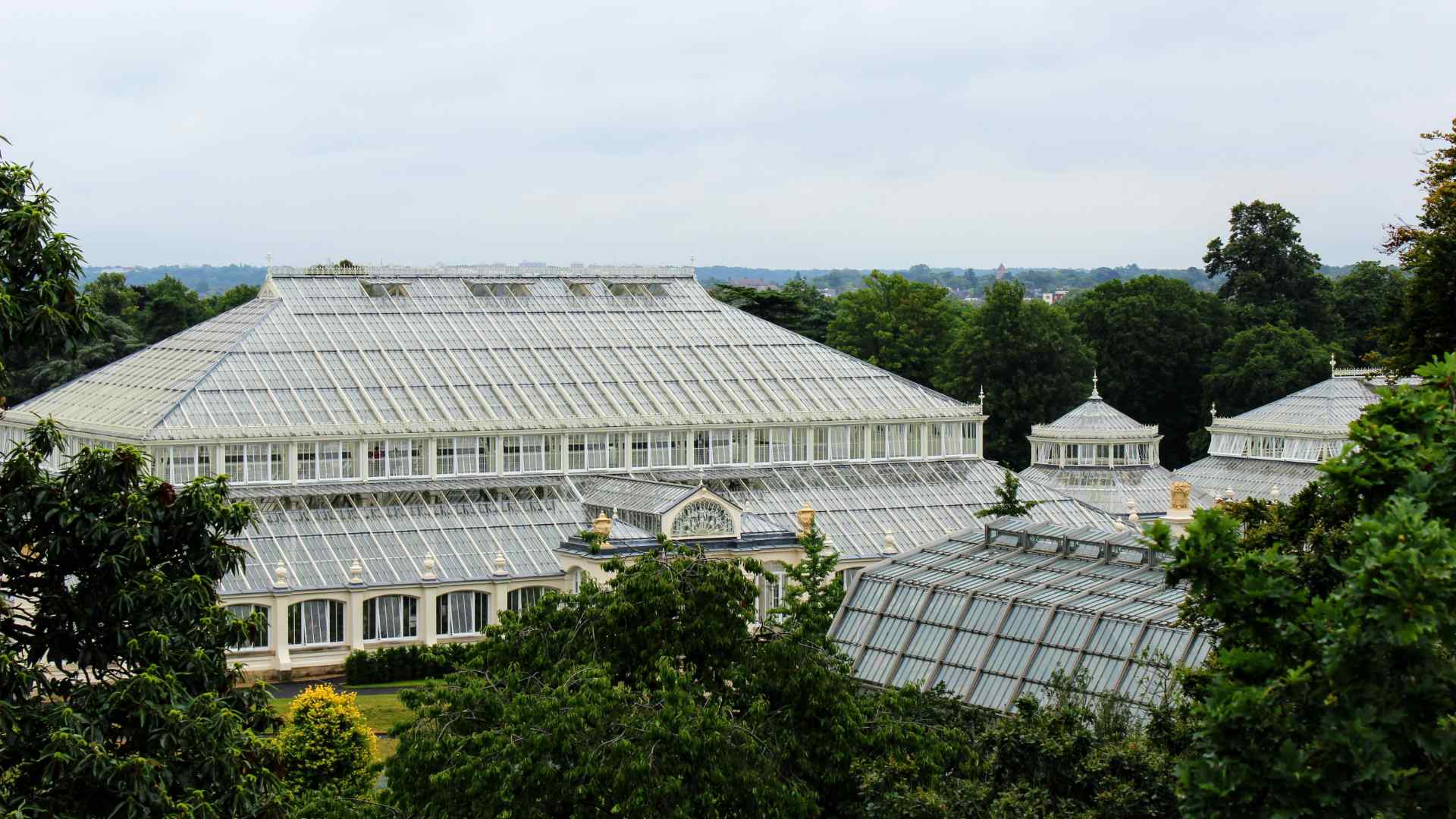 A greenhouse at Kew Gardens