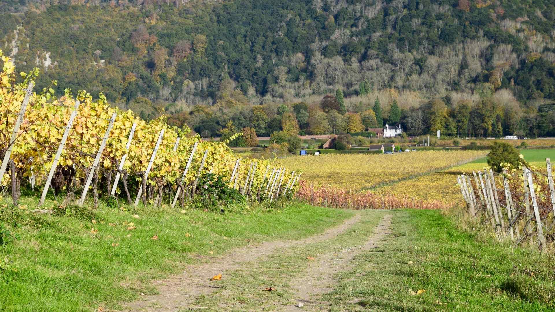 The Pitt Rivers Museum, Oxford