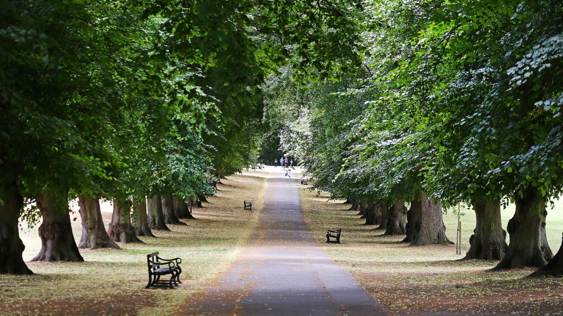 Rothampsted Park in Harpenden