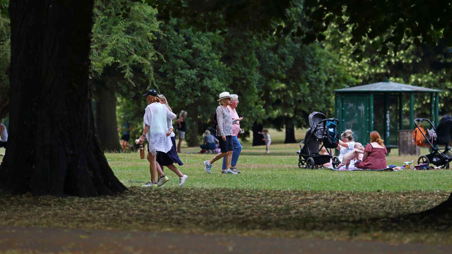Rothampsted Park in Harpenden