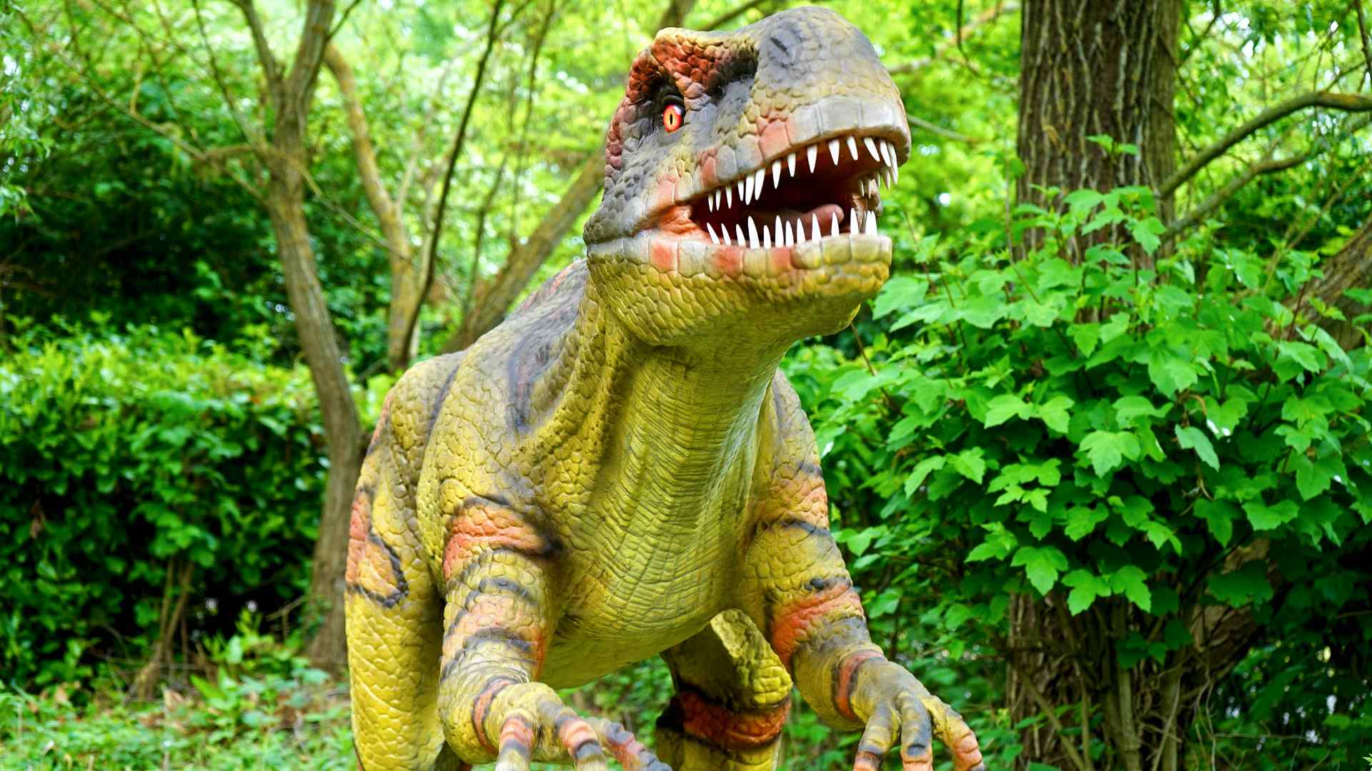 Scones with cream and jam