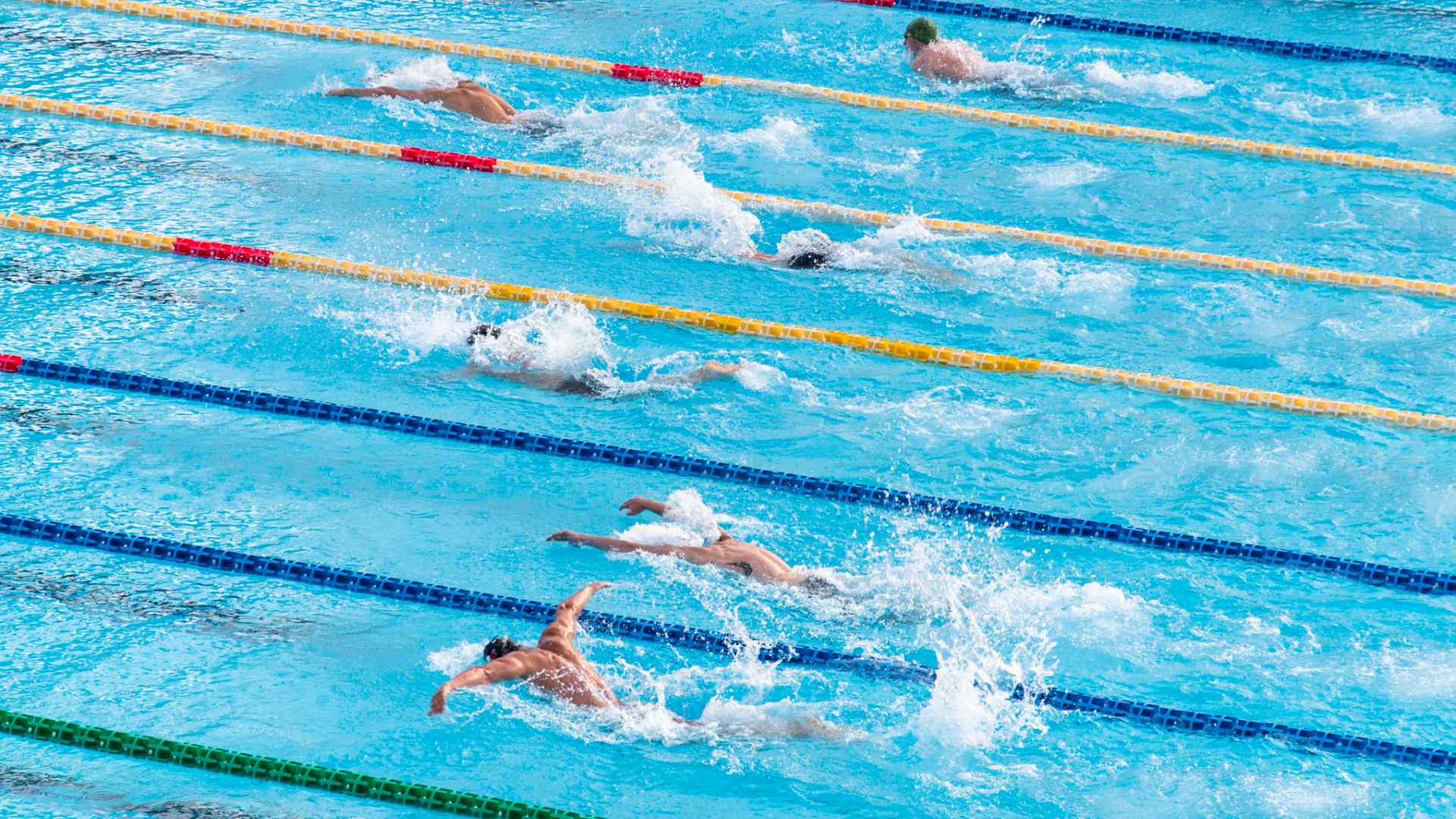 People swimming in lanes