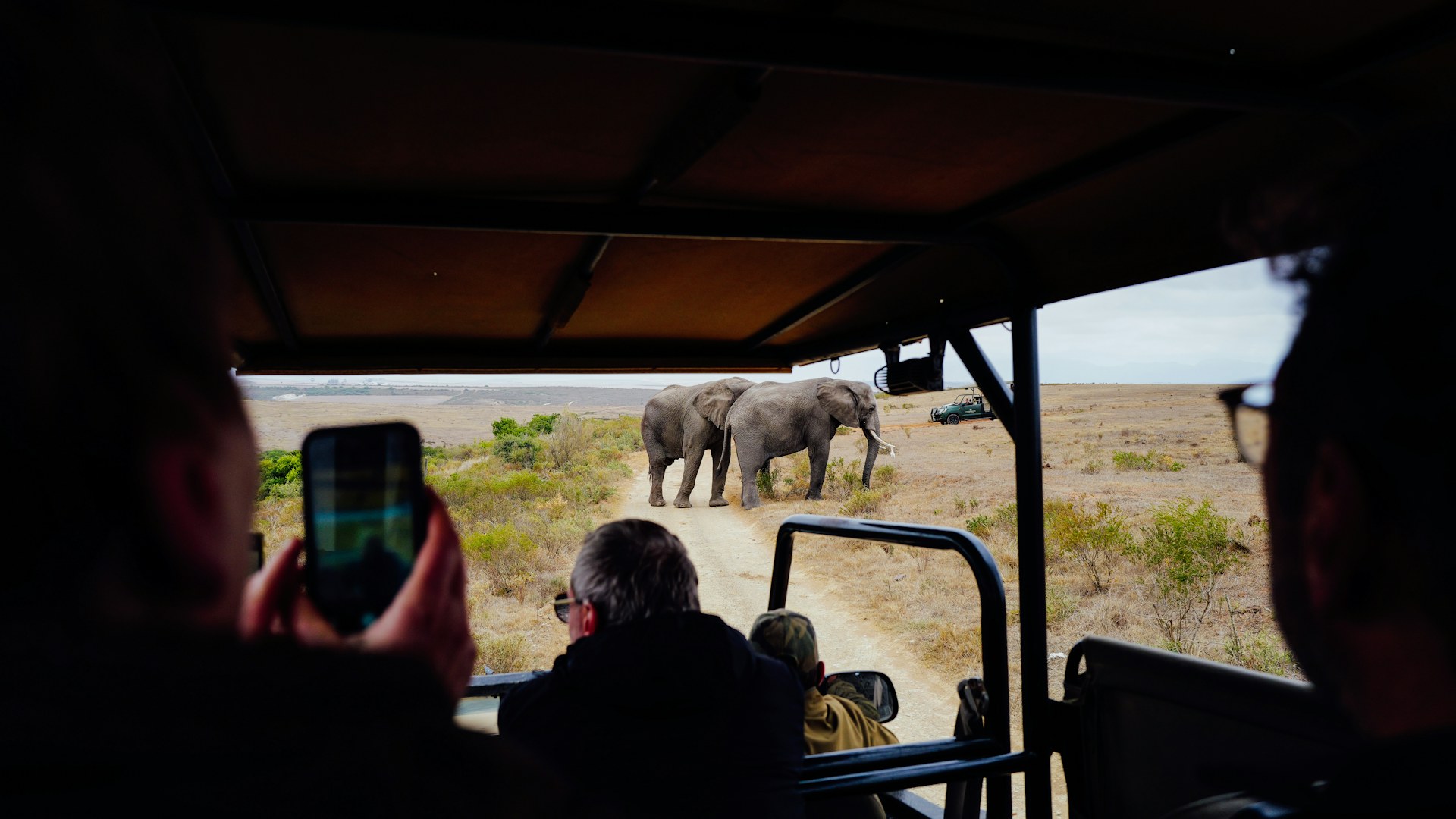 Travellers watching elephants from a safari vehicle on an African wildlife holiday
